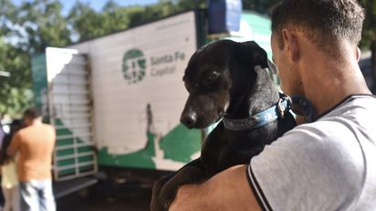 Santa Fe: el Imusa realiza castraciones, vacunación y desparasitación gratuita en la Vecinal Scarafía