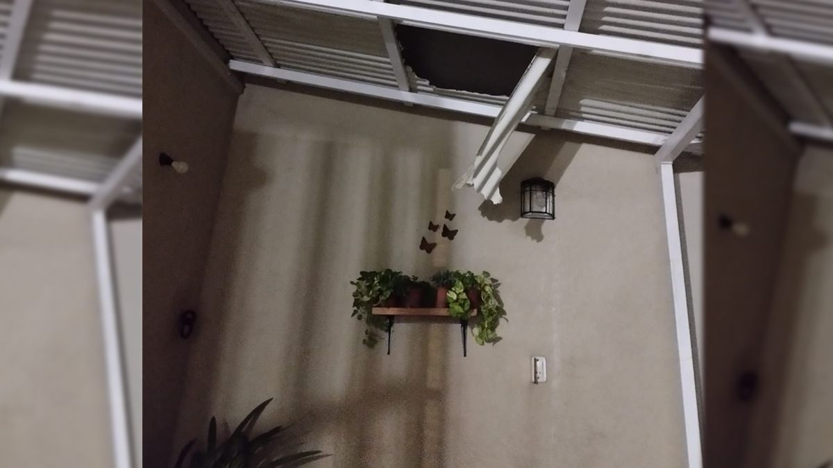 Así quedó el techo de la casa por donde cayó el ladrón. Así quedó el techo de la casa por donde cayó el ladrón.