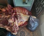 Durante los controles se secuestraron más de 550 kilos de carne y embutidos, panes de material estupefaciente y un arma de fuego. Interviene la división Microtráfico de la PDI por orden judicial. Durante los controles se secuestraron más de 550 kilos de carne y embutidos, panes de material estupefaciente y un arma de fuego. Interviene la división Microtráfico de la PDI por orden judicial.