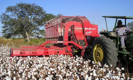 siguen a buen ritmo las cosechas de soja y algodon en centro y norte de santa fe siguen a buen ritmo las cosechas de soja y algodon en centro y norte de santa fe