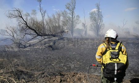 Más de 120 agrupaciones ambientalistas advierten de los retrocesos que se producirán en materia ambiental si se aprueba la Ley Ómnibus. Más de 120 agrupaciones ambientalistas advierten de los retrocesos que se producirán en materia ambiental si se aprueba la Ley Ómnibus.