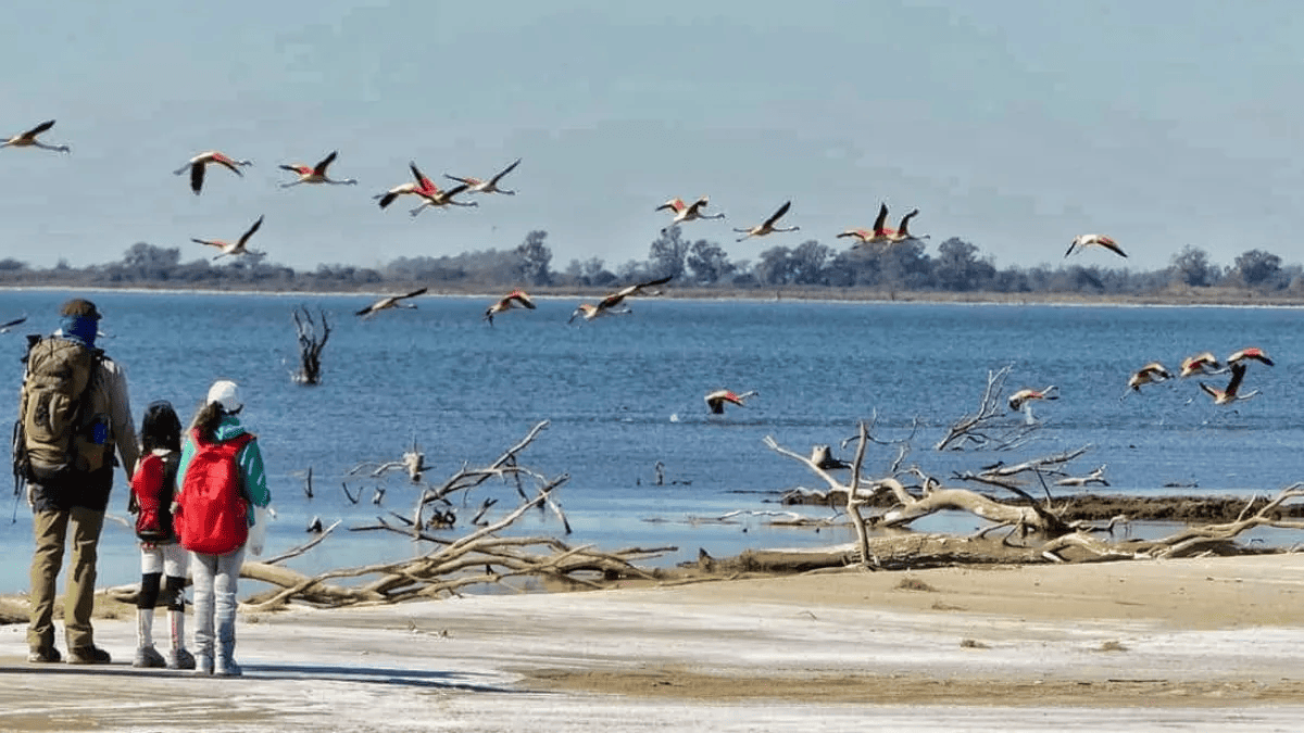 La localidad de Marull se convirtió en uno de los destinos preferidos para una escapada de tranquilidad, buena comida y paisajes únicos. La localidad de Marull se convirtió en uno de los destinos preferidos para una escapada de tranquilidad, buena comida y paisajes únicos.