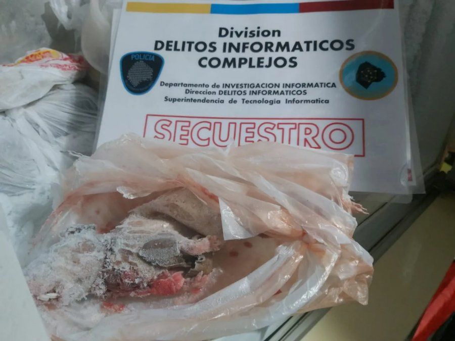 Los animales congelados no tenían autorización ni control bromatológico.