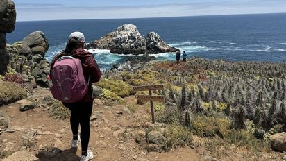 Escapada a un paraíso en Chile con acantilados, senderos y paisajes que sorprenden a todos