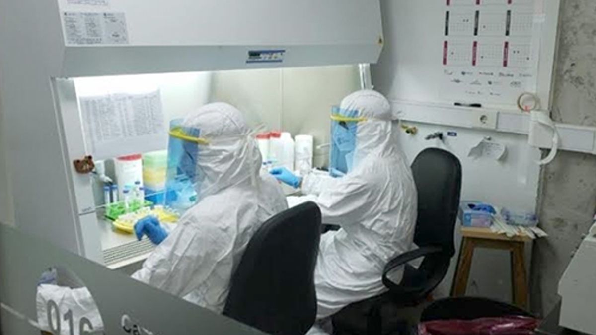 En cuatro meses, Buenos Aires aumentó en un 3500% su capacidad de diagnóstico