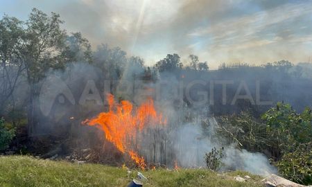 Incendio en los cañaverales de barrio Central Guadalupe en Santa Fe. Incendio en los cañaverales de barrio Central Guadalupe en Santa Fe.