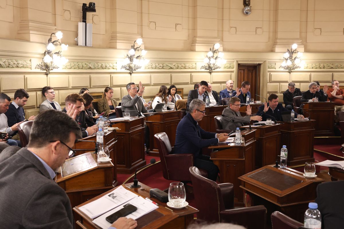 El proyecto, que había ingresado con media sanción de la Cámara de Diputadas y Diputados, fue devuelto en revisión con modificaciones introducidas. El proyecto, que había ingresado con media sanción de la Cámara de Diputadas y Diputados, fue devuelto en revisión con modificaciones introducidas.