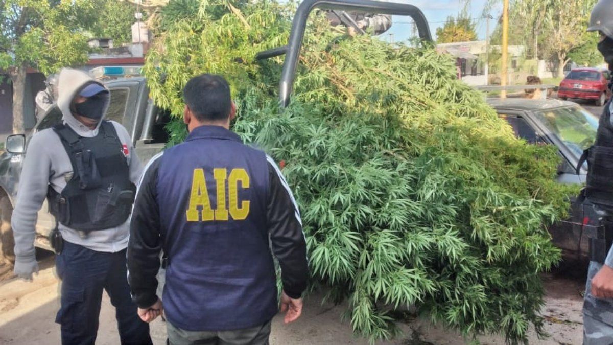 Dos jovenes de 17 y 19 años fueron detenidos en los allanamientos