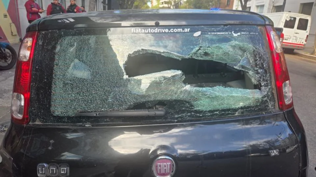 Una mujer destrozó a palazos los autos de Gato Sylvestre y Gabriela Radice.