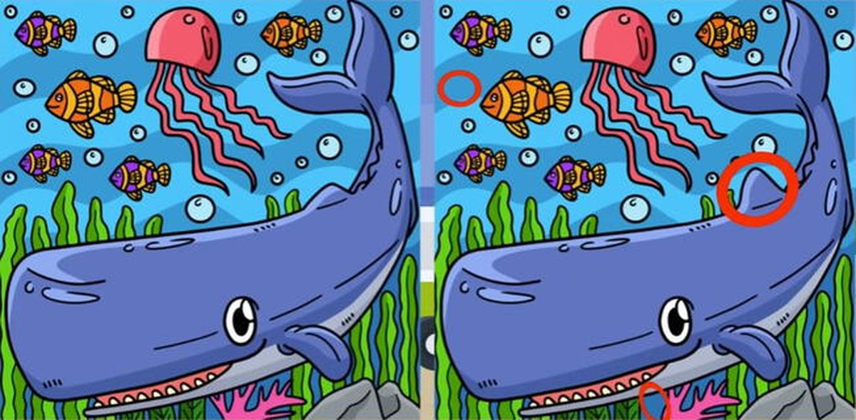 Solución del reto visual.