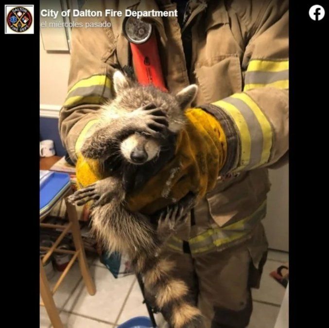 El Departamento de Bomberos de Dalton, Estados Unidos, compartió la risueña foto en su Facebook (Facebook).