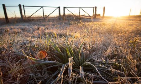 Las imágenes de la helada de este martes en Santa Fe. Se registraron las temperaturas más bajas en lo que va del año, con una sensación térmica bajo cero.