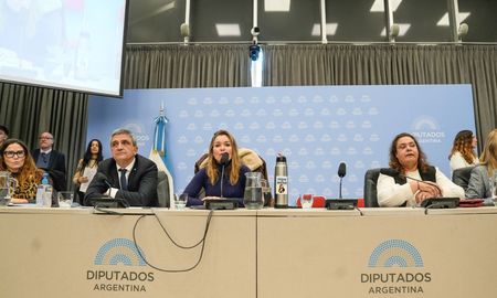 La discusión en Diputados se produjo en paralelo al complejo escenario que atraviesa el proyecto en el Senado. La discusión en Diputados se produjo en paralelo al complejo escenario que atraviesa el proyecto en el Senado.