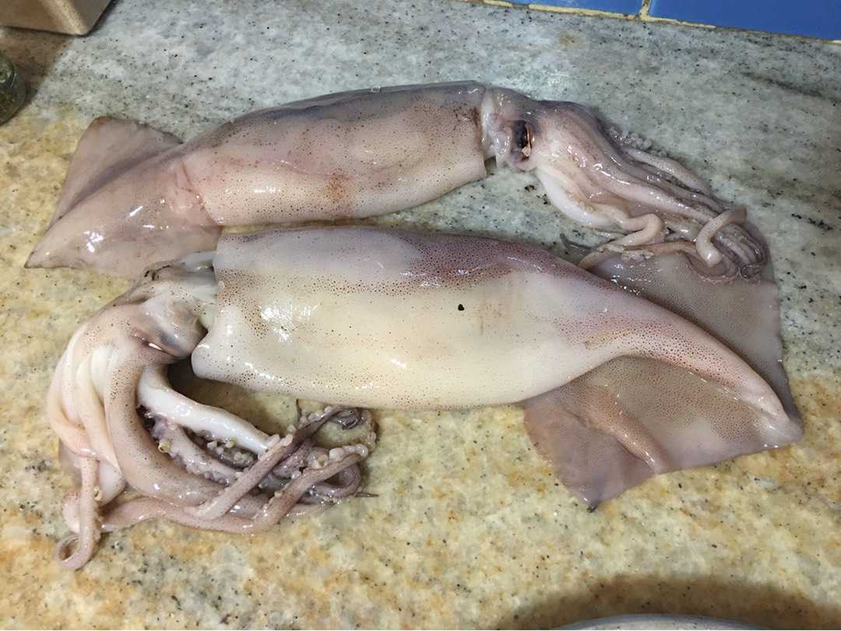 Cómo limpiar el calamar.