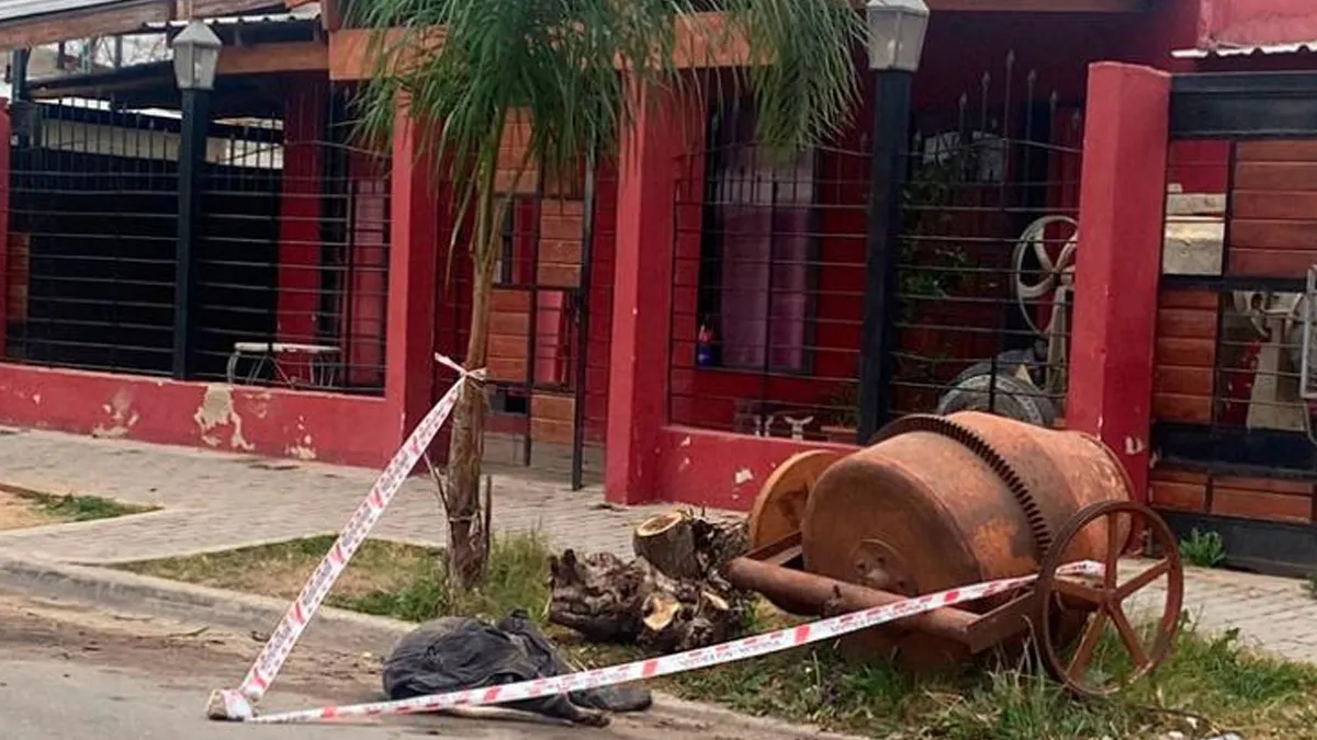 Una adolescente de 15 años murió tras ser atacada por dos perros dogo en Córdoba