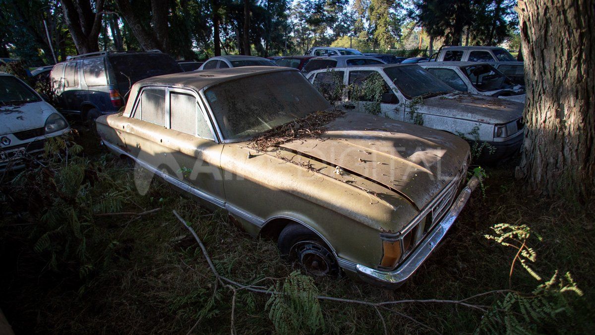 En el olvido. Hay en el predio hasta un Ford Falcon muy antiguo.&nbsp;