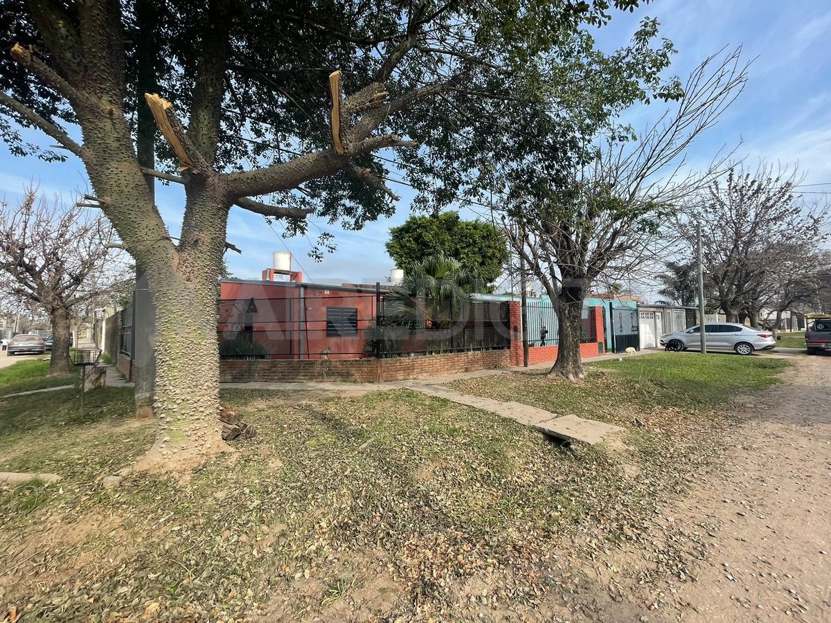 Una gran cantidad de ramas habían quedado acumuladas tras una poda. Tras contactarse con AIRE