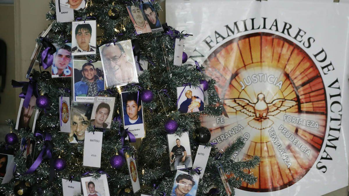 Foto: Maiquel Torcatt.