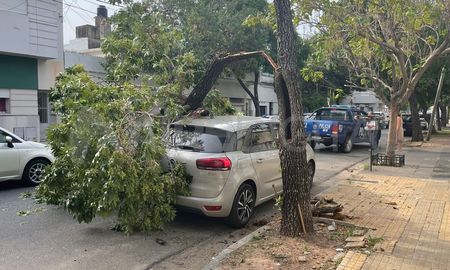 Una pesada rama se desprendió del árbol y cayó sobre el auto estacionado en calle San Lorenzo al 3300. Una pesada rama se desprendió del árbol y cayó sobre el auto estacionado en calle San Lorenzo al 3300.