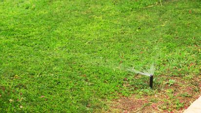 Cómo recuperar un césped quemado por el verano y lograr que vuelva a crecer verde y fuerte