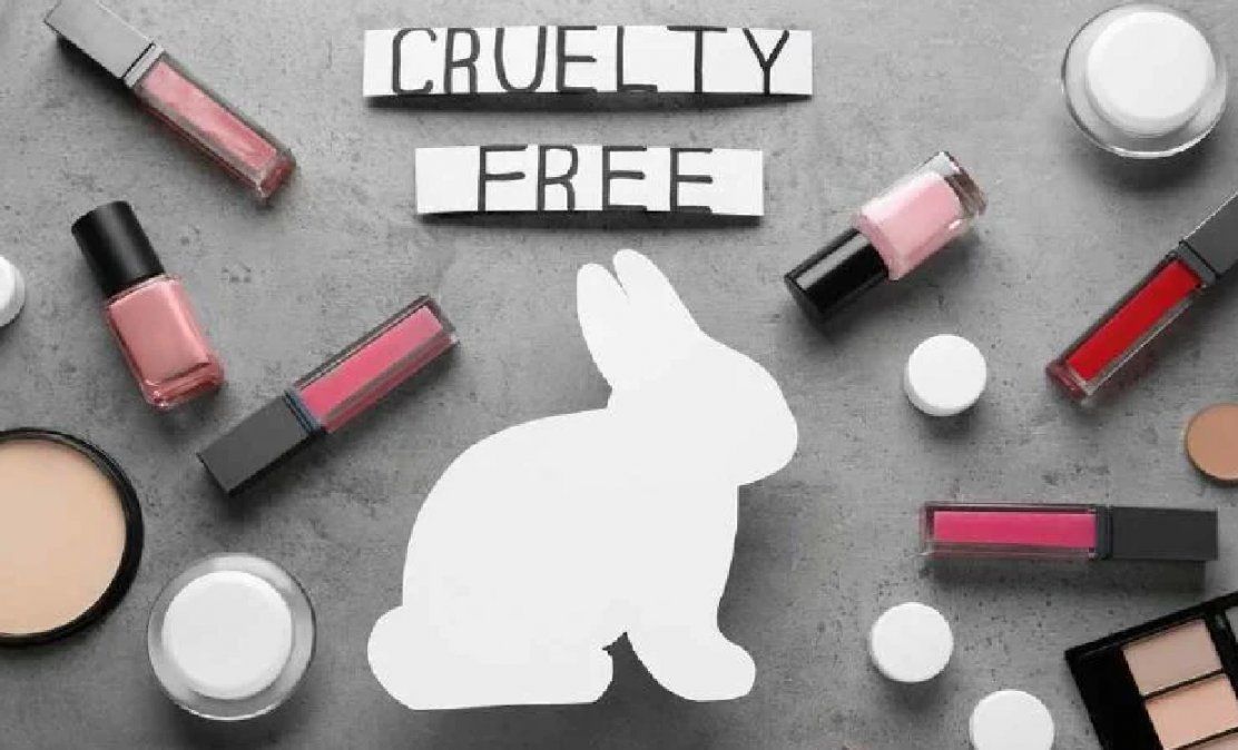 Reino Unido: empresas de cosméticos podrán hacer pruebas con animales por primera vez en 23 años