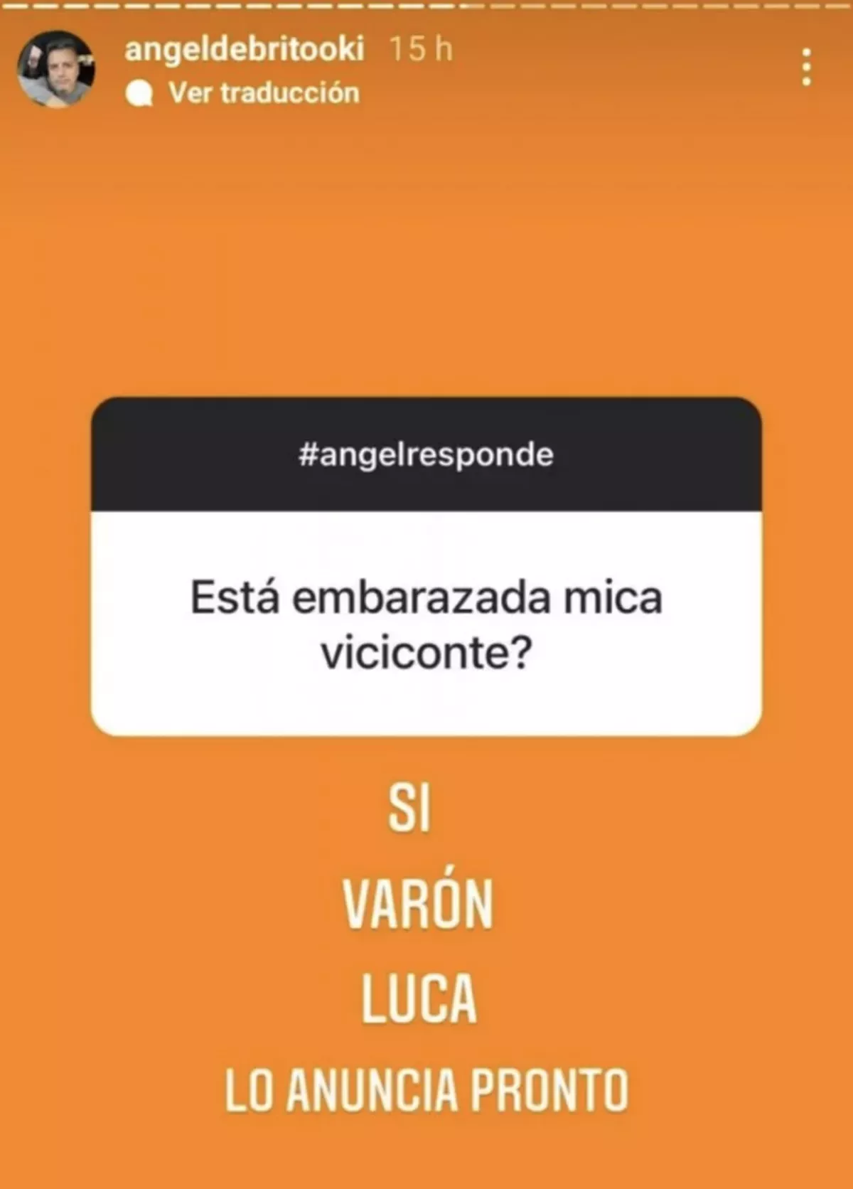 Mica Viciconte estar&iacute;a esperando su primer hijo.