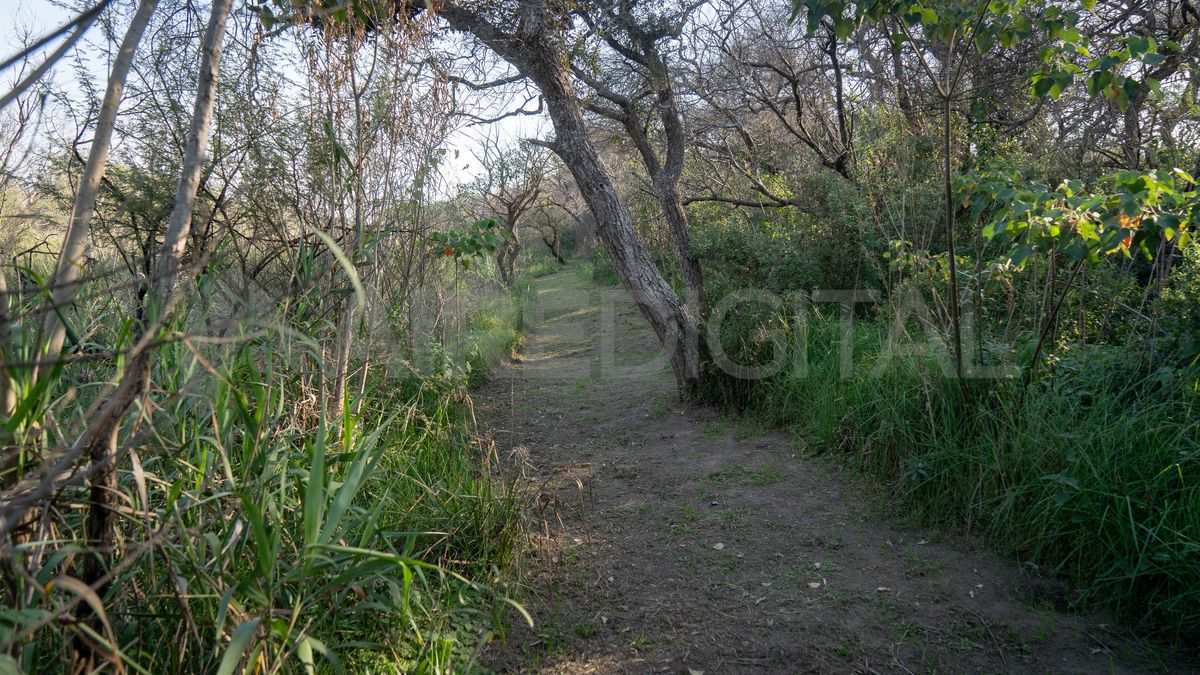 El sendero largo tiene 1.200 metros y lleva hasta el límite sur del Parque Provincial Cayastá. El sendero largo tiene 1.200 metros y lleva hasta el límite sur del Parque Provincial Cayastá.
