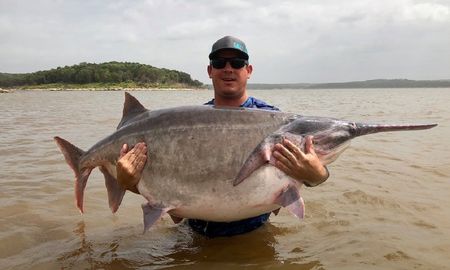 El pescador James Lukehart sostiene el pez espátula americano con el que estableció un nuevo récord. El pescador James Lukehart sostiene el pez espátula americano con el que estableció un nuevo récord.