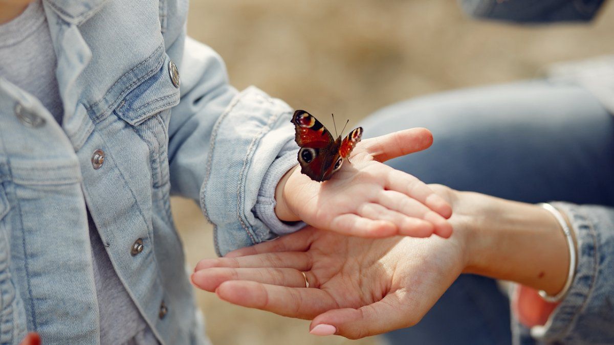Una de las psicólogas que acompaña a S. le transmitió a N. la importancia de que la nena confíe en ella para contarle todo lo que siente.