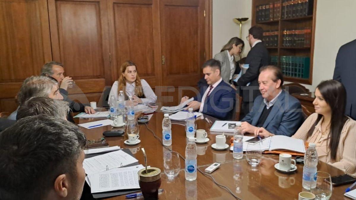 En el encuentro se resolvió citar a la jefa de los fiscales del sur provincial