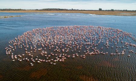 Aire de Santa Fe | Editada - humedal campo andino flamencos.jpg
