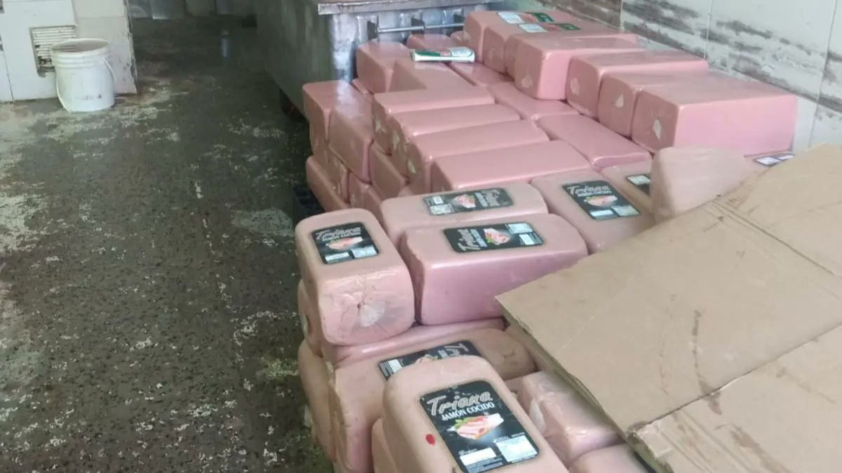 El frigorífico permanecerá cerrado hasta las irregularidades vinculadas a la salubridad, a la higiene y a la manipulación de los alimentos sean solucionadas.