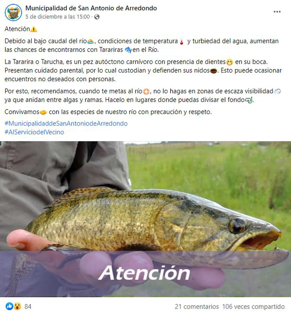 Alerta por tarariras en balnearios de Córdoba.