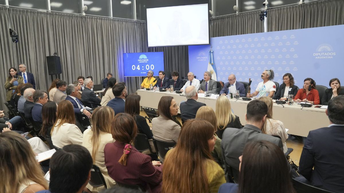 Las exposiciones se emitieron desde la Sala 2 del Anexo C de la Cámara de Diputados de la Nación. Las exposiciones se emitieron desde la Sala 2 del Anexo C de la Cámara de Diputados de la Nación.