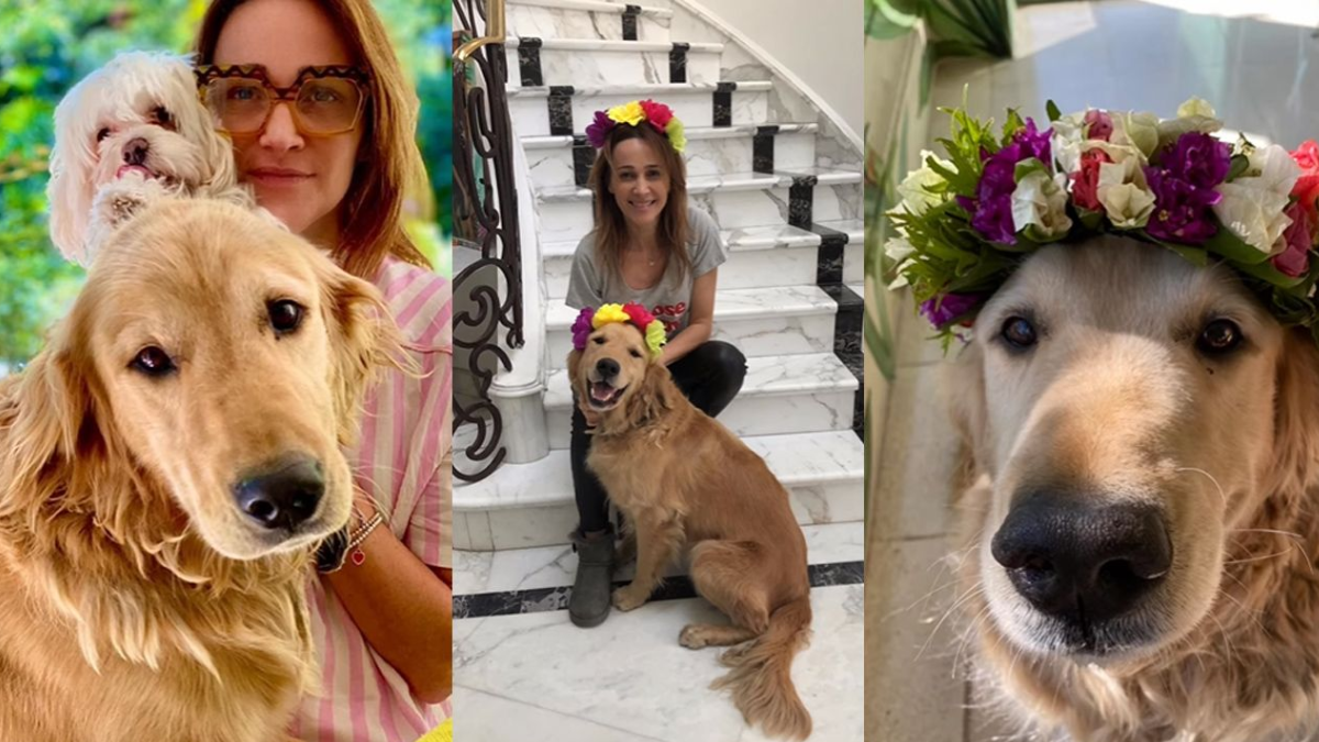 La conmovedora carta de Verónica Lozano para despedir a su perro: Huelo tu collar para tenerte un rato más