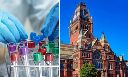 la universidad de harvard ofrece curso gratis para profesionales de la salud: como inscribirse la universidad de harvard ofrece curso gratis para profesionales de la salud: como inscribirse