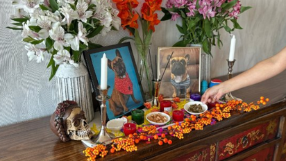 Cómo armar un altar de Día de Muertos para los animales que regresan por unas horas