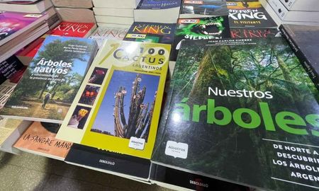 En terrazas, patios o reservas naturales, recuperar especies nativas permite crear ecosistemas sustentables y fortalecer la identidad regional. En terrazas, patios o reservas naturales, recuperar especies nativas permite crear ecosistemas sustentables y fortalecer la identidad regional.