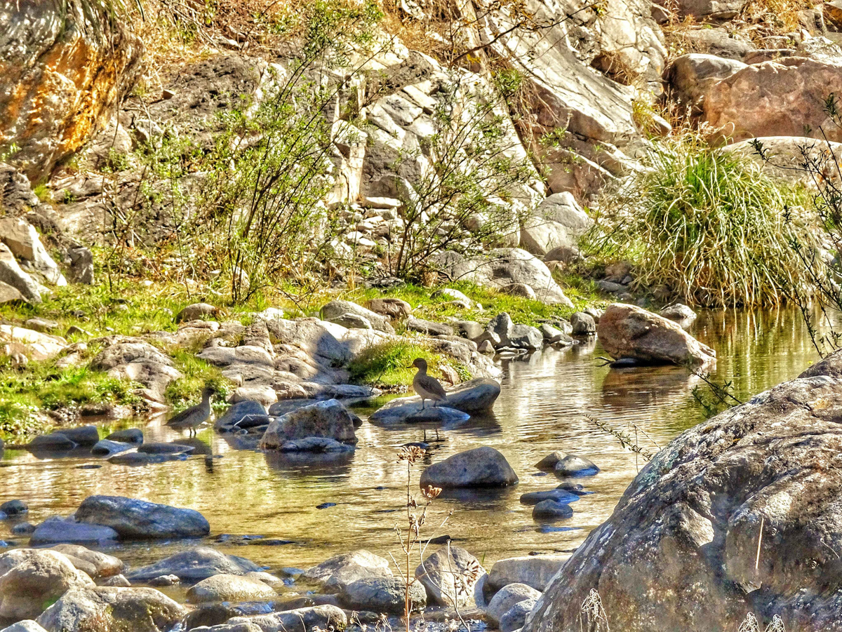 Reserva natural Los Quebrachitos