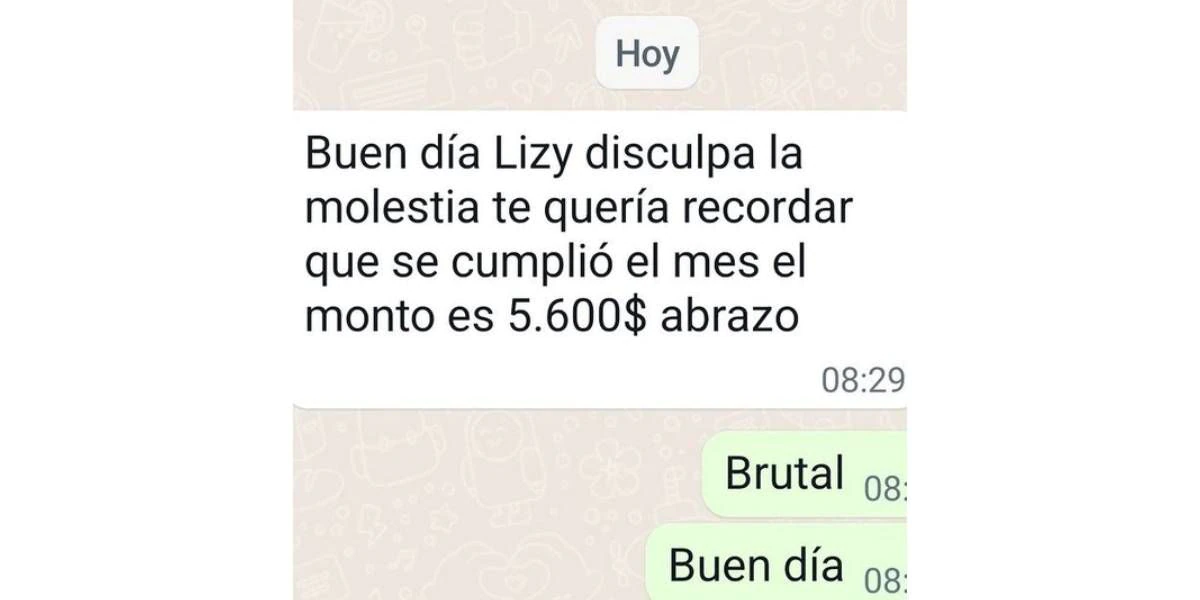 La publicaci&oacute;n de Lizy Tagliani