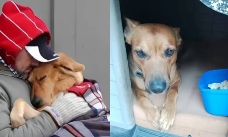 Juan murió de frío en Mendoza tras negarse a entrar a un refugio que no aceptaba a su perro. Juan murió de frío en Mendoza tras negarse a entrar a un refugio que no aceptaba a su perro.
