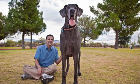 Los diez perros más grandes del mundo en esta nota. Los diez perros más grandes del mundo en esta nota.