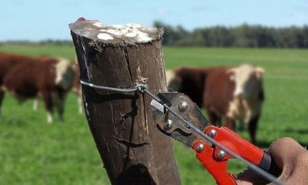 inseguridad rural: cra habilito un sistema nacional de denuncias virtuales y anonimas inseguridad rural: cra habilito un sistema nacional de denuncias virtuales y anonimas