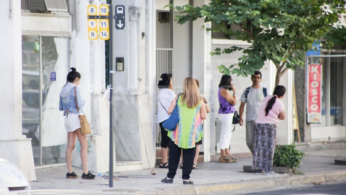 Mujeres y disidencias viajar&aacute;n gratis en colectivo el lunes 9 de marzo.