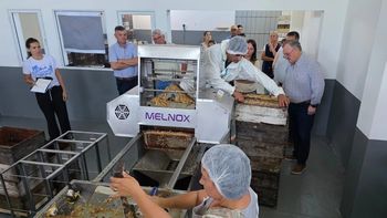 Michlig visitó la nueva sala de extracción de miel de la Cooperativa de Apicultores de Ambrosetti