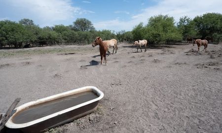 El territorio provincial se encuentra afrontando una intensa sequía. En particular, Santa Fe es el distrito nacional más afectado, con sus 19 departamentos comprometidos. El territorio provincial se encuentra afrontando una intensa sequía. En particular, Santa Fe es el distrito nacional más afectado, con sus 19 departamentos comprometidos.