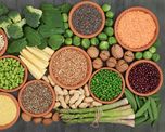 que alimentos podemos consumir para incorporar proteina vegetal que alimentos podemos consumir para incorporar proteina vegetal