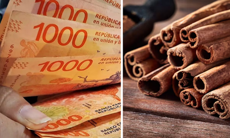 el poderoso ritual de canela del primer dia del mes para atraer dinero y abundancia: como hacerlo el poderoso ritual de canela del primer dia del mes para atraer dinero y abundancia: como hacerlo