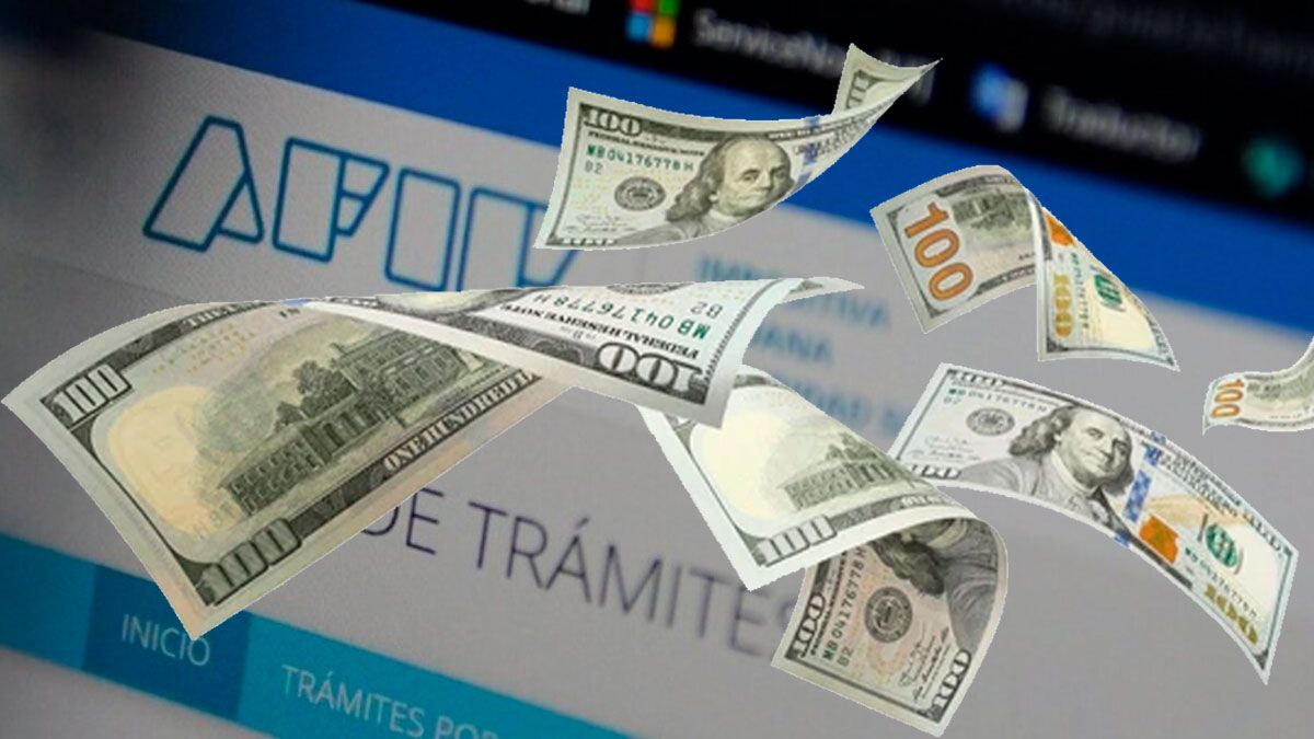 Cómo pedir en AFIP el reintegro de impuestos por la compra de dólarahorro y tarjeta en 2023.