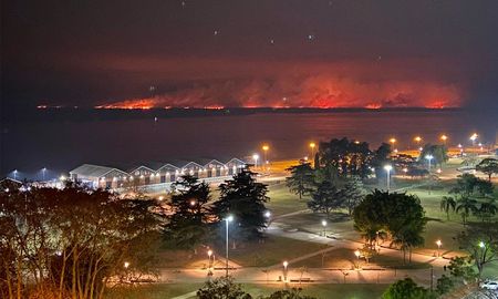 El intendente Pablo Javkin y el municipio de Rosario se presentaron como querellantes en la causa por los incendios de pastizales en islas cercanas a la ciudad.&nbsp;